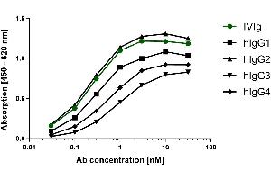 Different human IgG subclasses were coated on an ELISA plate at 100 ng. (Recombinant Mouse anti-Human IgG (Fc Region) Antibody)