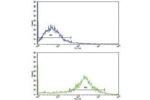 Flow cytometric analysis of NCI-H292 cells using IL-1B antibody (bottom histogram) compared to a negative control (top histogram). (IL-1 beta antibody  (AA 148-174))