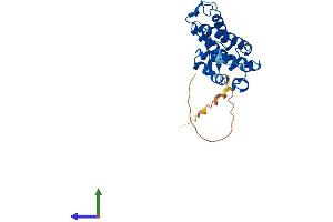 AlphaFold protein structure predicition of Human Recombinant MOB2 Protein, UniprotID Q70IA6