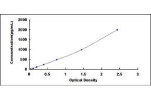 Typical standard curve (ANGPTL2 ELISA Kit)