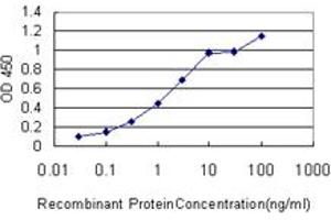Detection limit for recombinant GST tagged FGF12 is approximately 0. (FGF12 antibody  (AA 1-181))
