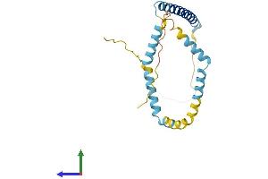 AlphaFold protein structure predicition of Human Recombinant TPD52L2 Protein, UniprotID O43399 (TPD52L2 Protein (AA 1-206) (His tag))