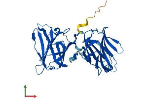AlphaFold protein structure predicition of Mouse Recombinant Lgals12 Protein, UniprotID Q91VD1