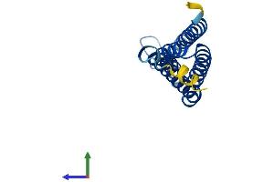 AlphaFold protein structure predicition of Human Recombinant MGST2 Protein, UniprotID Q99735 (MGST2 Protein (AA 1-147) (His tag))