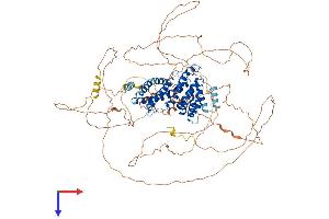 Synaptosomal-Associated Protein 91 (SNAP91) (AA 1-901) protein (His tag)