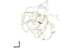 AlphaFold protein structure predicition of Human Recombinant FSCB Protein, UniprotID Q5H9T9 (FSCB Protein (AA 1-825) (His tag))
