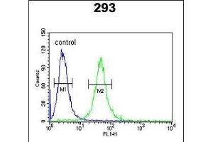 GATA2 Antibody (Center) (ABIN652243 and ABIN2841006) flow cytometric analysis of 293 cells (right histogram) compared to a negative control cell (left histogram). (GATA2 antibody  (AA 262-288))