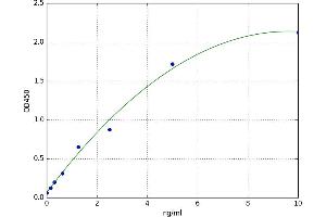 A typical standard curve
