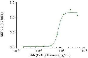 Shh (C24II), Human induced alkaline phosphatase production in CCL-226 cells. (Sonic Hedgehog Protein (SHH) (AA 24-197, Cys24IleIle-Mutant))