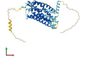 AlphaFold protein structure predicition of Human Recombinant CXCR3 Protein, UniprotID P49682 (CXCR3 Protein (AA 1-368) (His tag))
