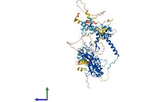 AlphaFold protein structure predicition of Human Recombinant EZH1 Protein, UniprotID Q92800