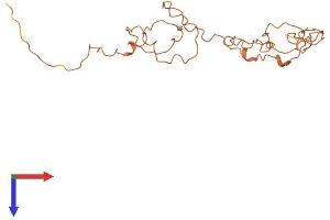 Keratin Associated Protein 10-3 (KRTAP10-3) (AA 1-221) protein (His tag)