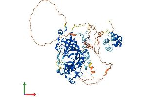 AlphaFold protein structure predicition of Human Recombinant L3MBTL4 Protein, UniprotID Q8NA19