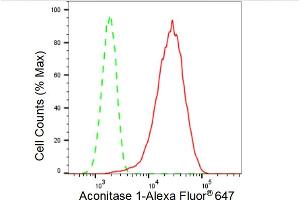 anti-Aconitase 1 (ACO1) antibody