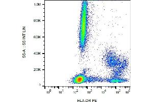 Flow cytometry analysis (surface staining) of human peripheral blood cells with anti-human HLA-DR (MEM-12) PE. (HLA-DR antibody  (PE))