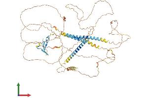 AlphaFold protein structure predicition of Human Recombinant NRG3 Protein, UniprotID P56975 (Neuregulin 3 Protein (NRG3) (AA 1-720) (His tag))
