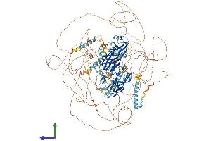 Protein Structure (PS) image for Regulating Synaptic Membrane Exocytosis 2 (RIMS2) (AA 1-1530) protein (His tag) (ABIN7565042)