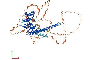 AlphaFold protein structure predicition of Human Recombinant OTUD1 Protein, UniprotID Q5VV17 (OTUD1 Protein (AA 1-481) (His tag))