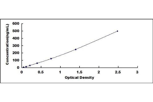 Diazepam Binding Inhibitor ELISA Kit