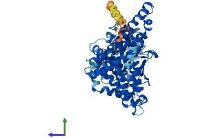 AlphaFold protein structure predicition of Human Recombinant ACOXL Protein, UniprotID Q9NUZ1 (ACOXL Protein (AA 1-547) (His tag))
