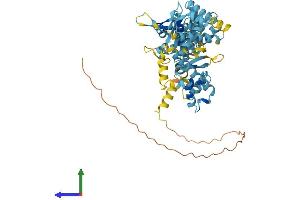 AlphaFold protein structure predicition of Human Recombinant MAGEE2 Protein, UniprotID Q8TD90 (MAGEE2 Protein (AA 1-523) (His tag))