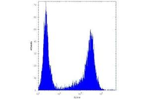 HES1 antibody flow cytometric analysis of U251 cells (right histogram) compared to a negative control (left histogram). (HES1 antibody  (AA 9-38))