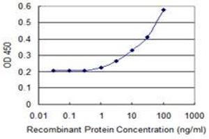 Detection limit for recombinant GST tagged RAC2 is 1 ng/ml as a capture antibody. (RAC2 antibody  (AA 1-192))