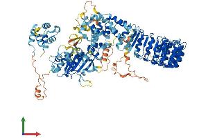 AlphaFold protein structure predicition of Mouse Recombinant Nlrp3 Protein, UniprotID Q8R4B8 (NLRP3 Protein (AA 1-1033) (His tag))