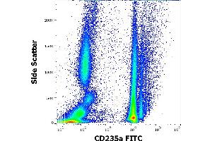 Flow cytometry surface staining pattern of human peripheral whole blood stained using anti-human CD235a (JC159) FITC antibody (4 μL reagent / 100 μL of peripheral whole blood).