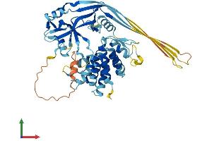 Protein Structure (PS) image for Gasdermin D (GSDMD) (AA 1-484) protein (His tag) (ABIN7548133)