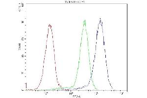 anti-Bone Morphogenetic Protein 5 (BMP5) (AA 332-365), (C-Term) antibody