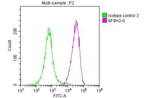 CD48 antibody  (AA 27-220)