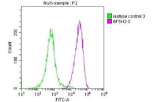 Overlay Peak curve showing JK cells stained with ABIN7147163 (red line) at 1:200. (CD48 antibody  (AA 27-220))