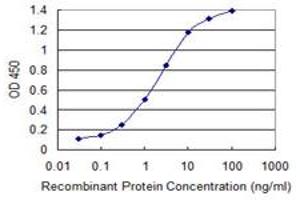Detection limit for recombinant GST tagged RFFL is 0. (RFFL antibody  (AA 2-99))