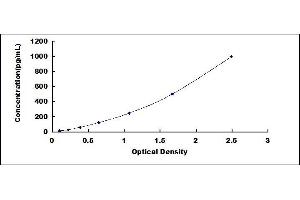 Typical standard curve (TNF alpha ELISA Kit)