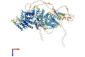 AlphaFold protein structure predicition of Mouse Recombinant Ttc41 Protein, UniprotID Q692V3