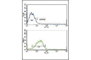 Flow Cytometry (FACS) image for anti-SMAD Family Member 4 (SMAD4) (AA 400-428), (C-Term) antibody (ABIN652388)