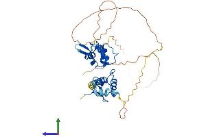 AlphaFold protein structure predicition of Mouse Recombinant Rnf34 Protein, UniprotID Q99KR6 (RNF34 Protein (AA 1-376) (His tag))