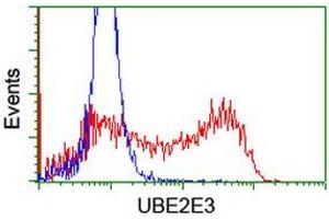 HEK293T cells transfected with either RC210328 overexpress plasmid (Red) or empty vector control plasmid (Blue) were immunostained by anti-UBE2E3 antibody (ABIN2455771), and then analyzed by flow cytometry. (UBE2E3 antibody)