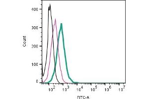 Cell surface detection of C3aR1 by direct flow cytometry in live intact mouse J774 macrophage cell line: + Rabbit IgG Isotype Control-FITC (ABIN7582044).