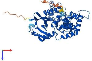 OGG1 Protein (AA 1-345) (His tag)