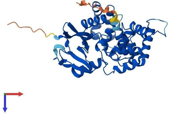 OGG1 Protein (AA 1-345) (His tag)