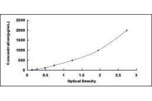 Myosin Heavy Chain 7, Cardiac Muscle, beta (MYH7) ELISA Kit