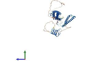Protein Structure (PS) image for Formin Binding Protein 1-Like (FNBP1L) (AA 1-605) protein (His tag) (ABIN7564610)