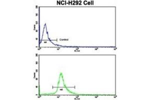 Flow Cytometry (FACS) image for anti-Elongator Acetyltransferase Complex Subunit 2 (ELP2) antibody (ABIN3001690) (ELP2 antibody)