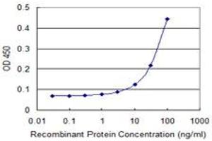Detection limit for recombinant GST tagged FOXM1 is 3 ng/ml as a capture antibody. (FOXM1 antibody  (AA 22-110))