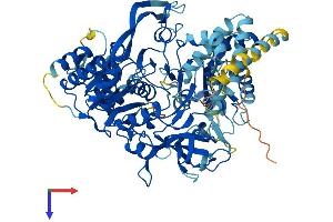 Acsl3 Protein (AA 1-720) (His tag)