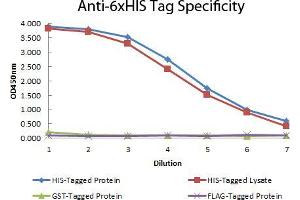 ELISA of Mouse anti-6xHIS Tag Antibody. (His Tag antibody  (DyLight 680))