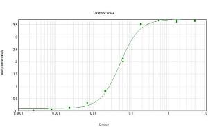 ELISA Results of Goat Anti-Human IgG Antibody Alkaline Phosphatase Conjugated (Min X Bv Ch Gt GP Ham Hs Ms Rb Rt Sh Serum Proteins) tested against purified Human IgG Alk Phos.