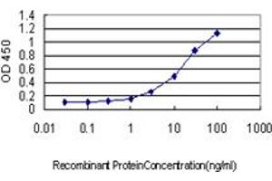 Detection limit for recombinant GST tagged PSIP1 is approximately 1ng/ml as a capture antibody. (PSIP1 antibody  (AA 1-50))